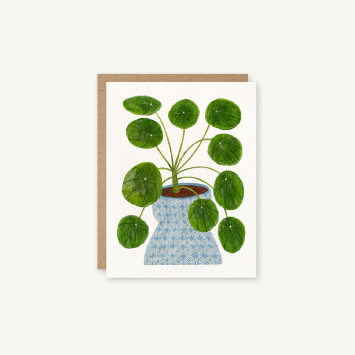 Pilea peperomioides - Potted Chinese Money House Plant Everyday Card